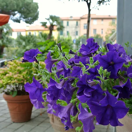 Sud Est By Fam Rossetti 3* Lavagna