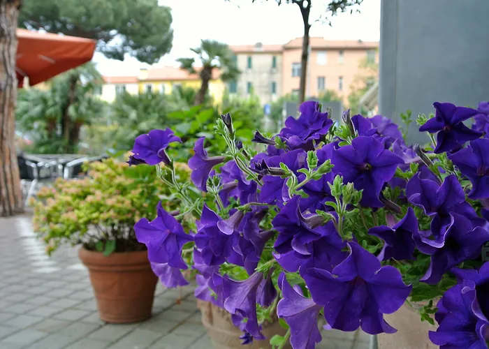 Sud Est By Fam Rossetti 3* Lavagna